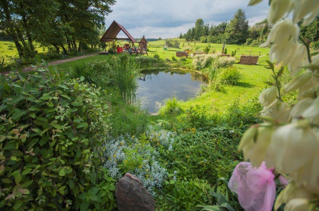 Pensjonat Agroturystyczny Pod Modrzewiem Bed and Breakfast Florczaki Buitenkant foto